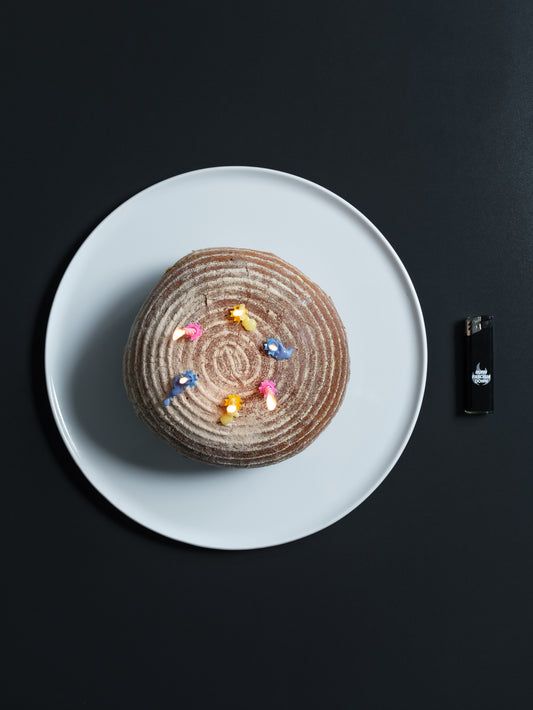 BURN FASCISM DOWN lighter