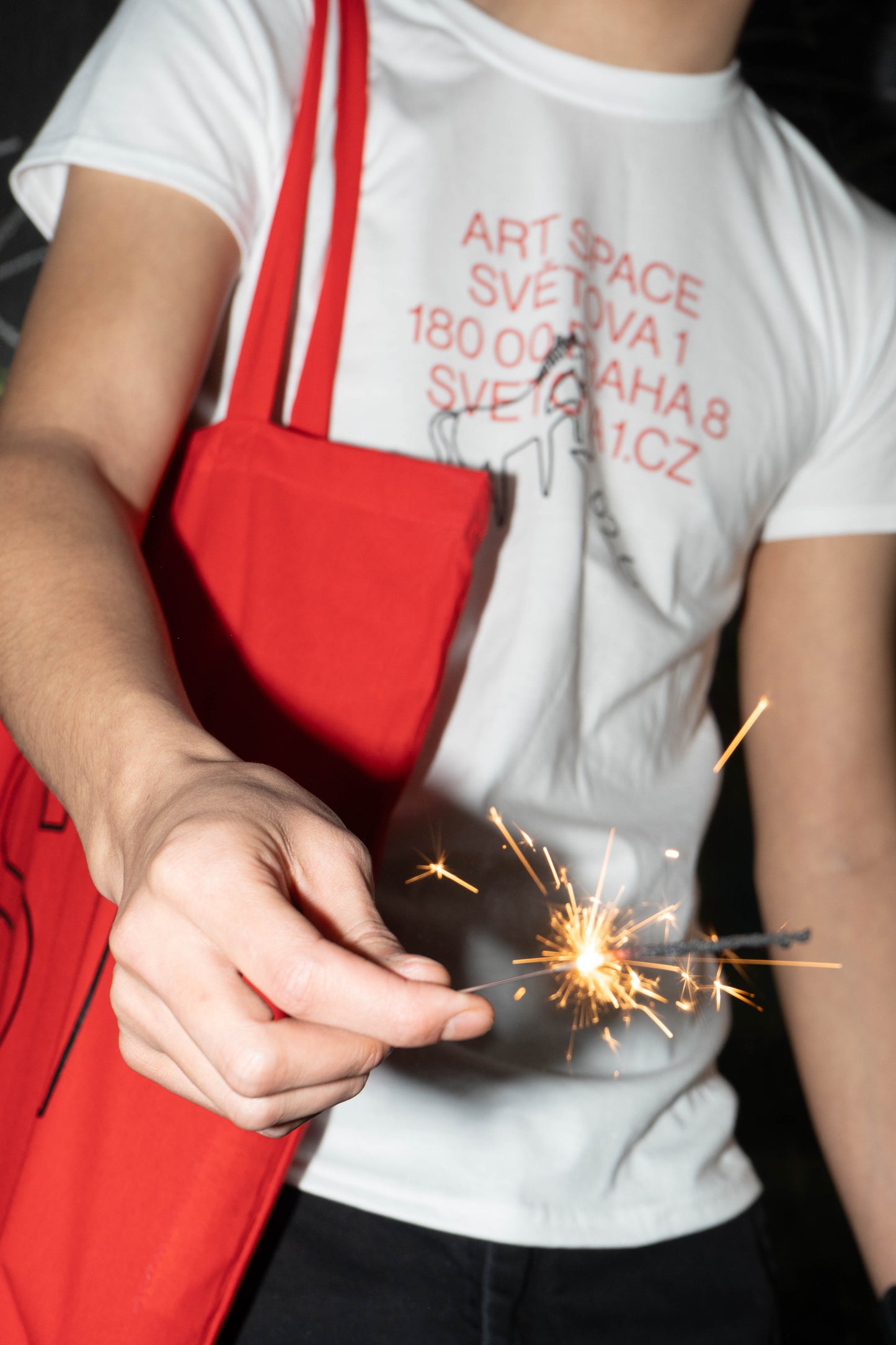 Bundle of Red Fortune