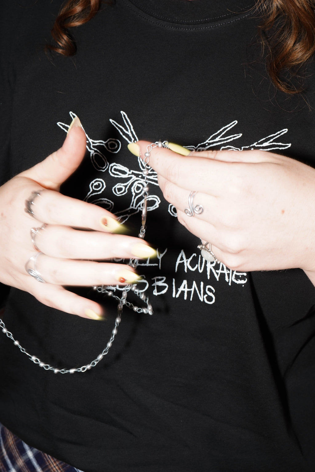 BIBLICALLY AC(C)URATE LESBIANS t-shirt