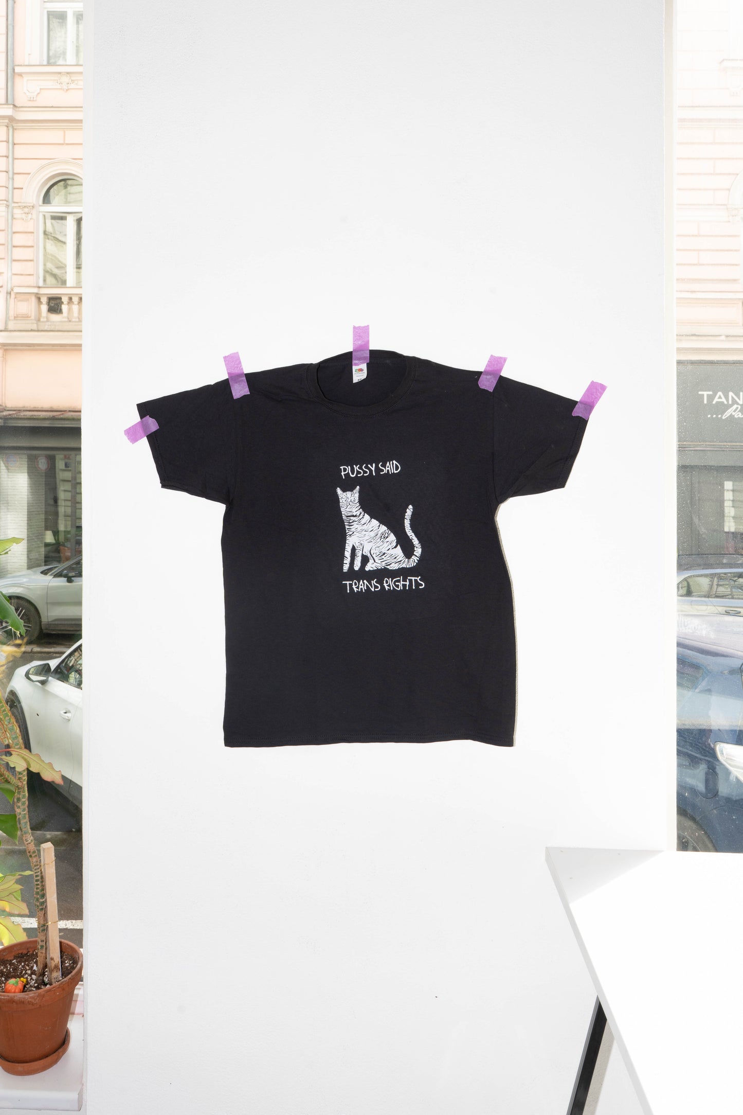 PUSSY SAID TRANS RIGHTS t-shirt