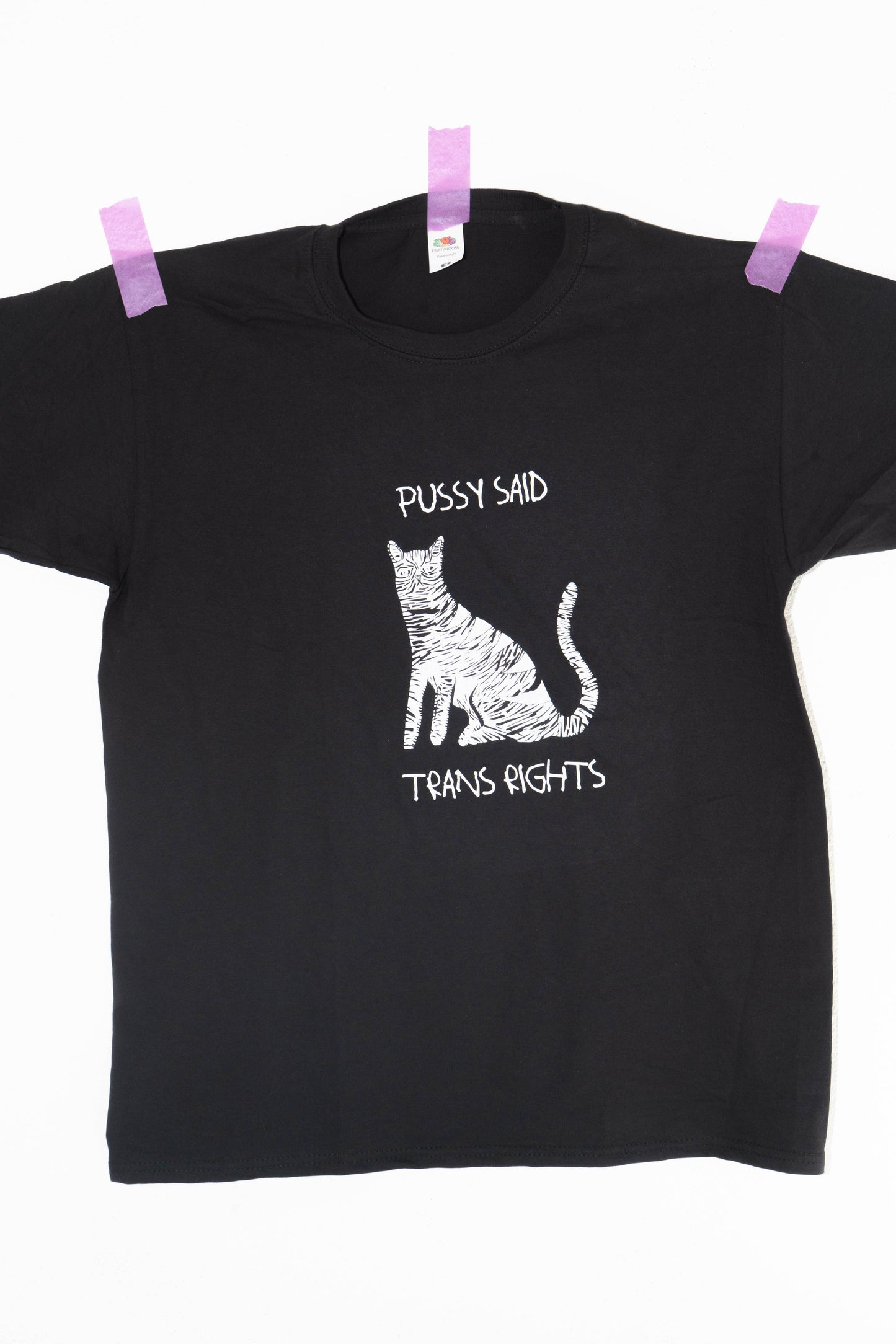 PUSSY SAID TRANS RIGHTS t-shirt