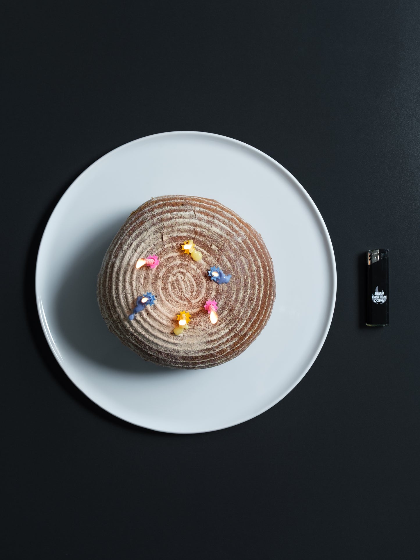 BURN FASCISM DOWN lighter